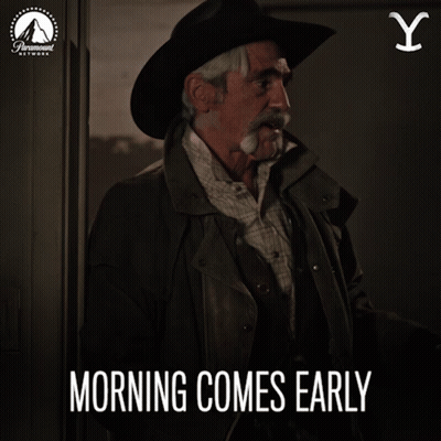 Dog When Your Friend Calls You At 6 AM GIF