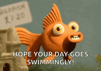 Dog With As You Recover Follow These 3 Simple Commands GIF