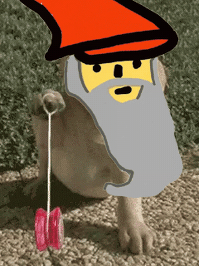 Dog With Beard Holding Yo-Yo GIF
