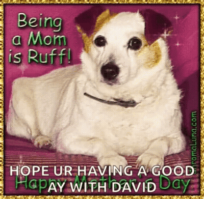 Dog With Being A Mom Is Ruff GIF