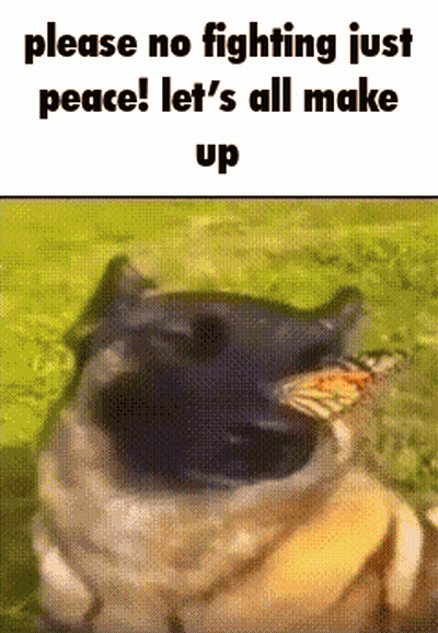 Dog With Butterfly Says Please No Fighting Just Peace GIF