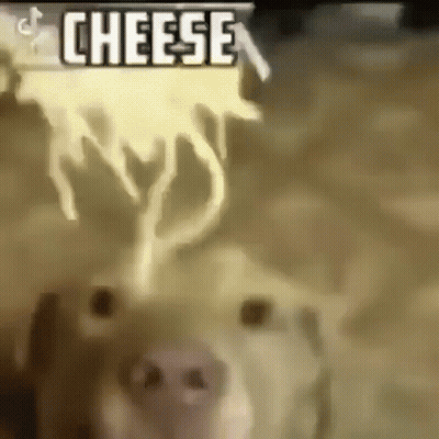 Dog With Cheese Out Of Nose GIF