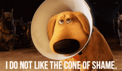 Dog With Cone Of Shame Saying I Do Not Like The Cone Of Shame GIF