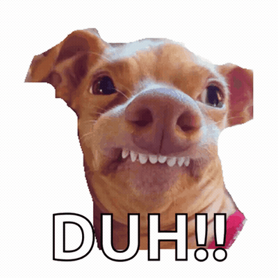 Dog With Duh Text GIF