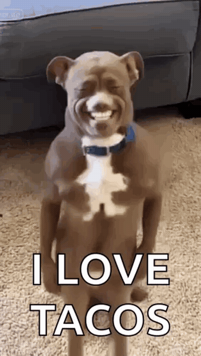 Dog With Fake Arms And Legs Smiling GIF