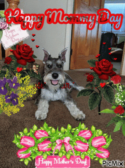 Dog With Flowers Happy Mothers Day GIF