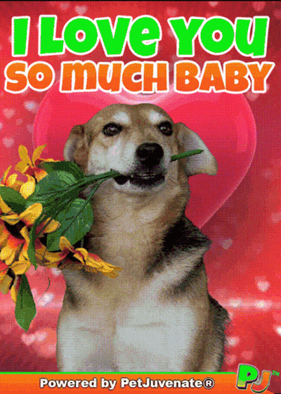 Dog With Flowers In Mouth I Love You GIF