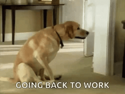 Dog With Going Back To Work Text GIF