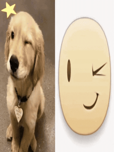 Dog With Good Boy Tag Next To Smiley Face GIF