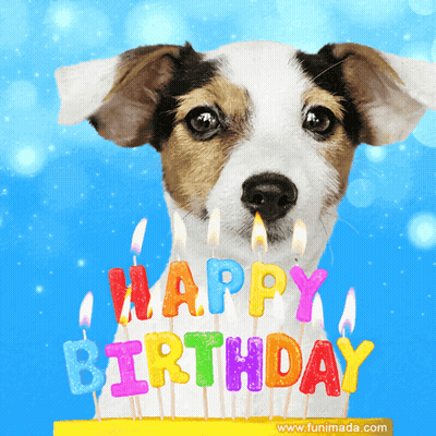 Dog With Happy Birthday Candles GIF