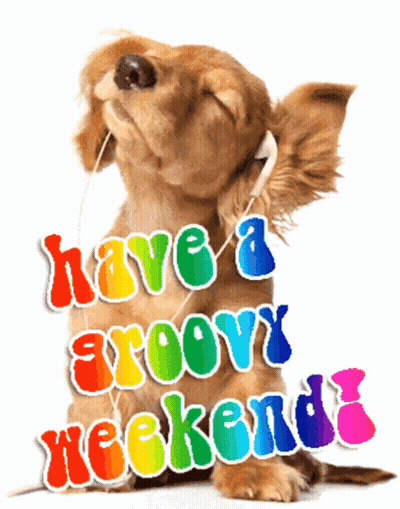 Dog With Headphones Saying Have A Groovy Weekend GIF