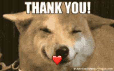 Dog With Heart In Mouth Saying Thank You GIF