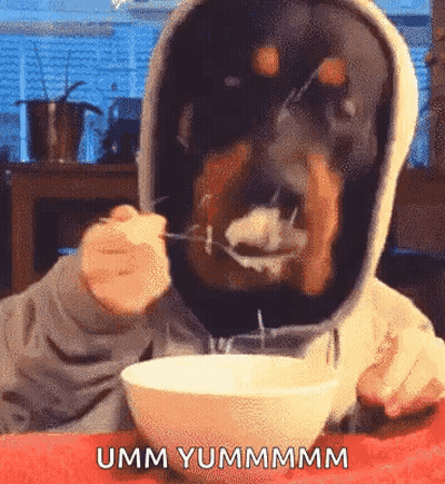 Dog With Hood Eating Cereal From Bowl GIF