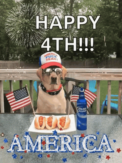 Dog With Hot Dogs And Bud Light GIF