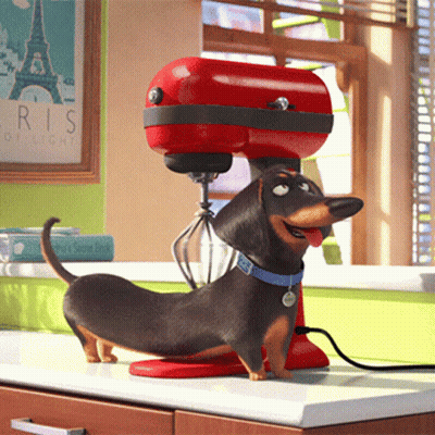 Dog With Ice Cream Sticker GIF