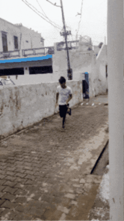 Dog With Large Ears Close Up GIF