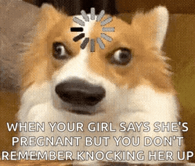 Dog With Loading Wheel Saying When Your Girl Says She's Pregnant But You Don't GIF