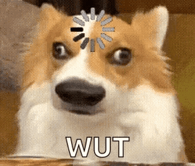 Dog With Loading Wheel Saying Wut GIF