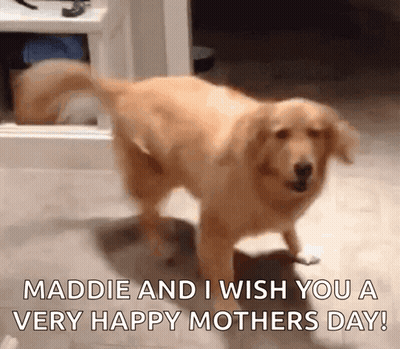 Dog With Maddie And Happy Mothers Day GIF