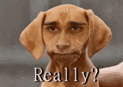 Dog With Man Face Saying Really GIF