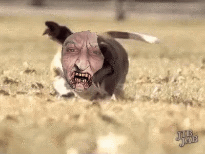 Dog With Man's Face Jub Jab GIF