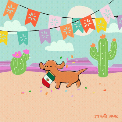 Dog With Mexican Flag Necklace GIF