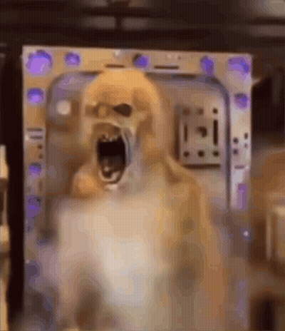 Dog With Mouth Open In Microwave GIF