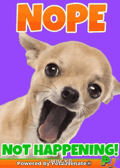 Dog With Mouth Open Nope Not Happening GIF