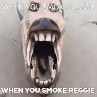 Dog With Mouth Open When You Smoke Reggie GIF