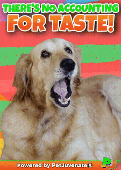 Dog With Open Mouth No Accounting For Taste GIF