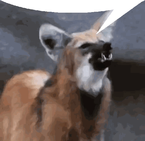 Dog With Open Mouth Sticker
