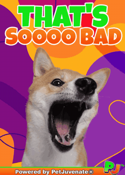 Dog With Open Mouth Saying So Bad GIF