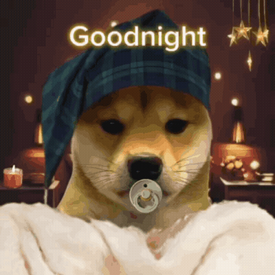 Dog With Pacifier And Hat Saying Goodnight GIF