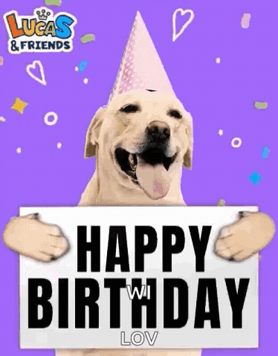 Dog With Party Hat And Happy Birthday Sign GIF