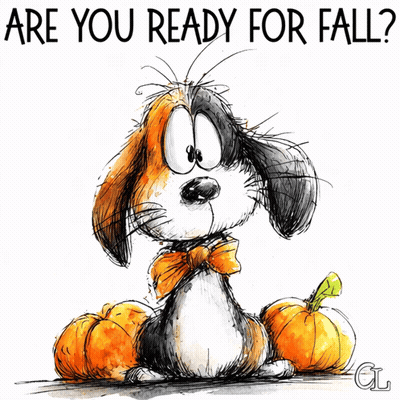 Dog With Pumpkins Are You Ready For Fall GIF