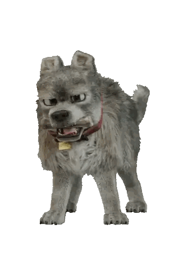 Dog With Red Collar And Ken Tag Sticker