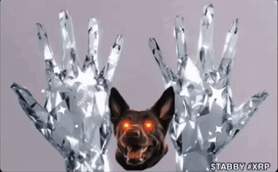 Dog With Red Eyes Behind Crystal Hands Stabby XRP GIF