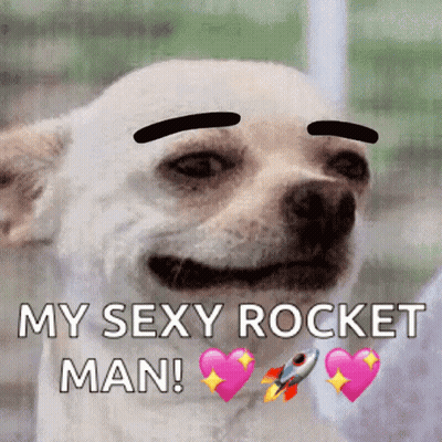 Dog With Rocket Saying My Sexy Rocket Man GIF