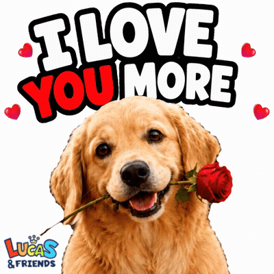 Dog With Rose Saying I Love You More GIF