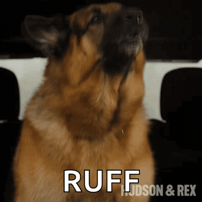 Dog With Ruff Text GIF
