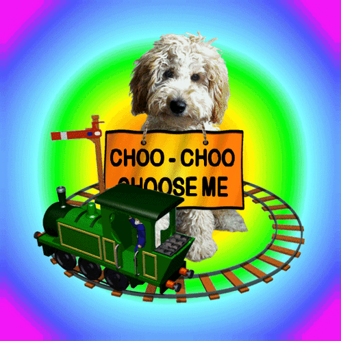 Dog With Sign Saying Choo Choo Choose Me GIF