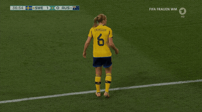 Dog With Soccer Ball And Sweden Flag GIF