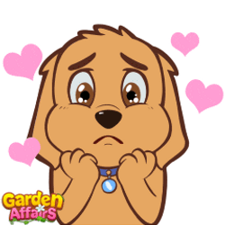 Dog With Sparkling Eyes Love GIF