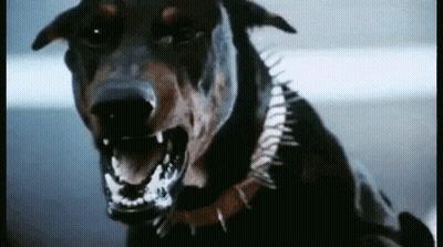 Dog With Spiky Collar GIF
