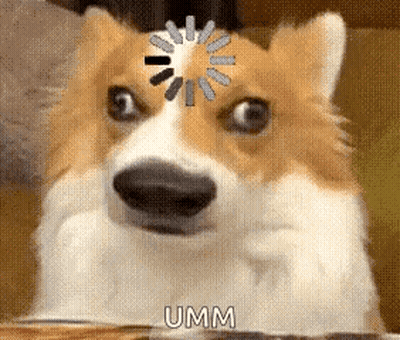 Dog With Spinning Wheel Saying Umm GIF