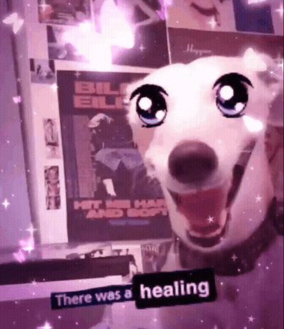 Dog With Sticker Saying There Was A Healing GIF