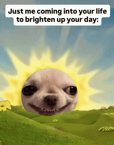 Dog With Sun Background Just Me Coming Into Your Life To Brighten Up Your Day GIF