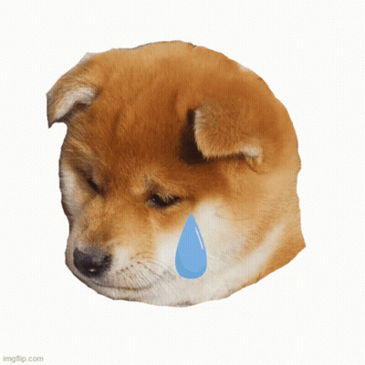Dog With Tear Coming Out Of Eye GIF