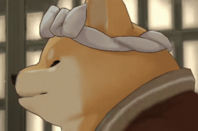 Dog With Towel On Head Looking Sideways GIF