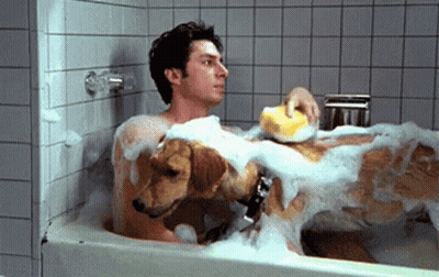 Dog With Towel On Head Taking Bath GIF